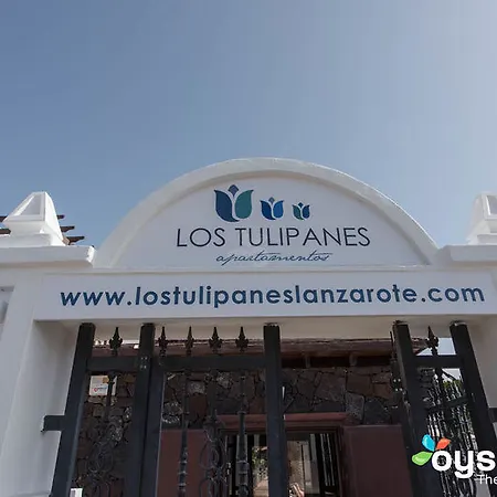 Tulipanes מלון דירות פוארטו דל כרמן